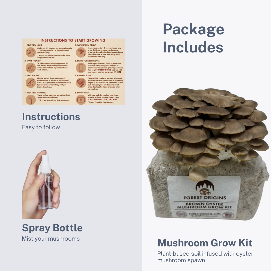 BROWN OYSTER MUSHROOM GROW KIT