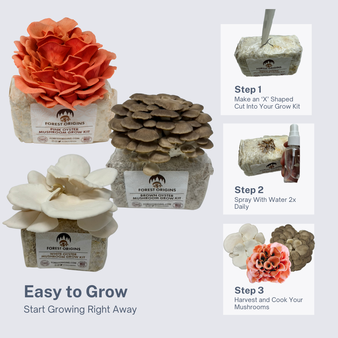 SPECIALTY TRIO OYSTER MUSHROOM GROW KIT (3-PACK)