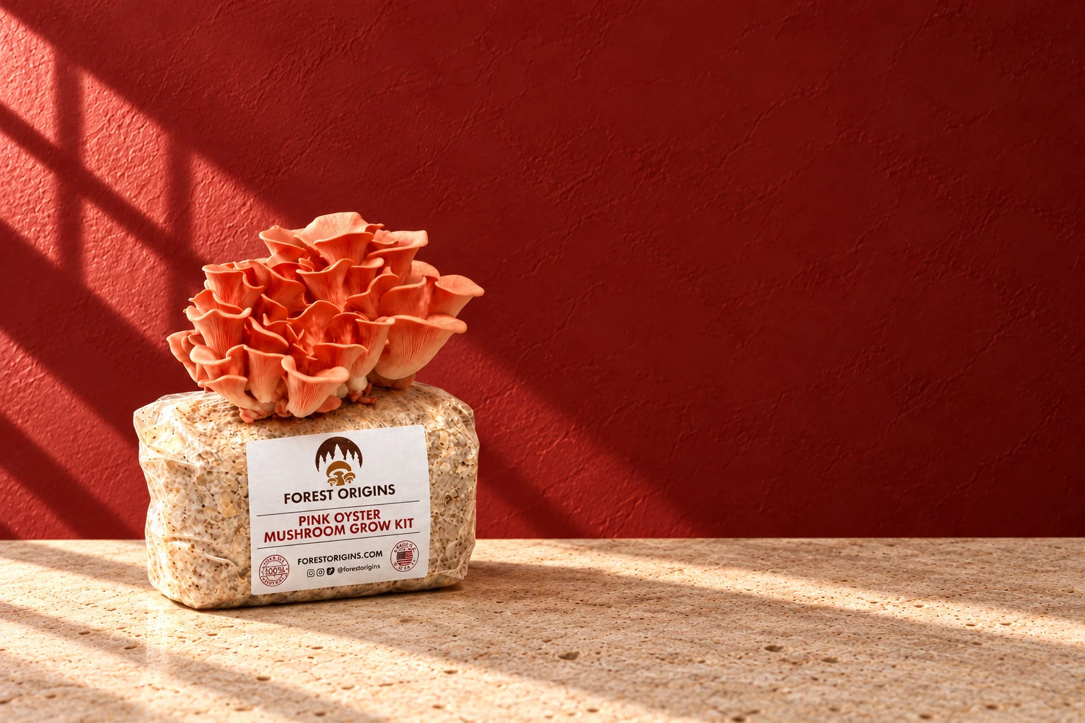 Pink Oyster grow kit with a full coral-pink cluster on a stone table against a red painted wall