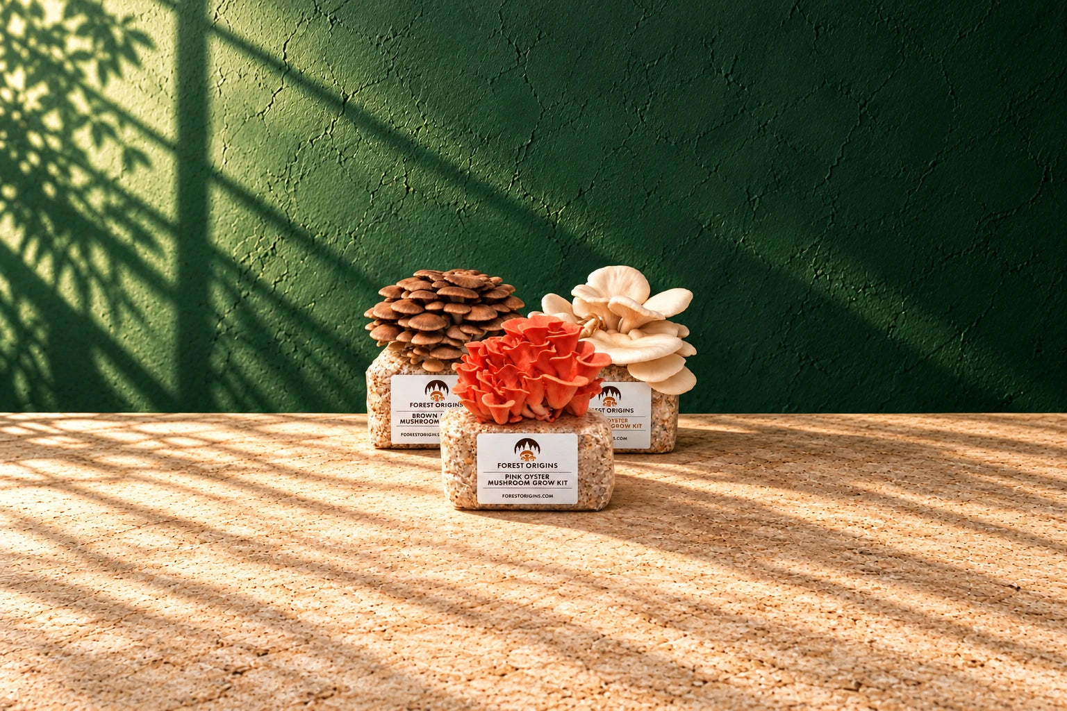 Pink, Brown, and White Forest Origins oyster mushroom grow kits together on a stone table, each with a full cluster