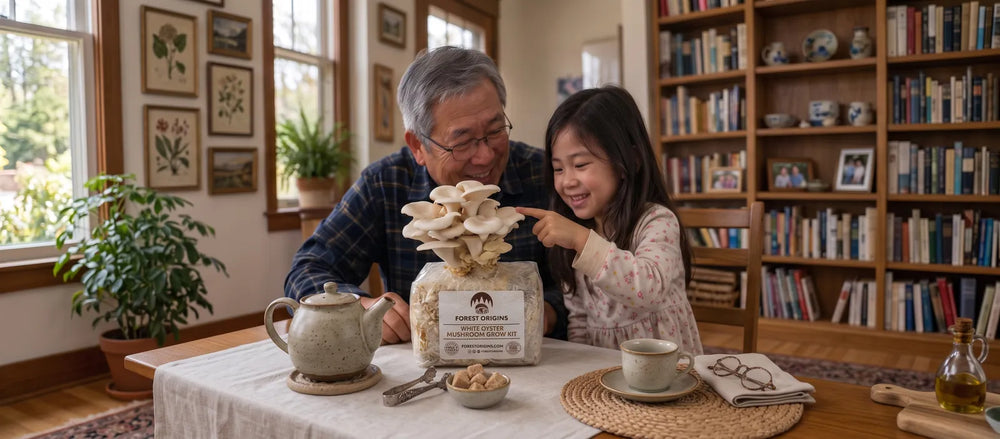 Grandfather and granddaughter growing oyster mushrooms together at home