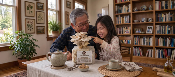 Grandfather and granddaughter growing oyster mushrooms together at home