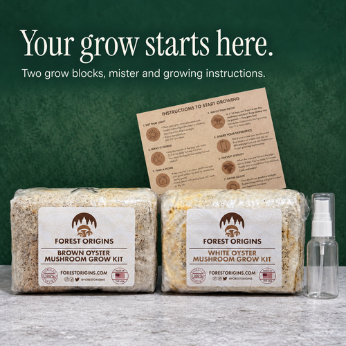Two Brown and White Oyster grow blocks with a mister and printed growing instructions.