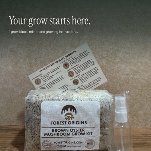A Brown Oyster grow block with a mister and printed growing instructions.