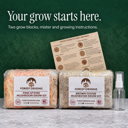 Two Pink and Brown Oyster grow blocks with a mister and printed growing instructions.