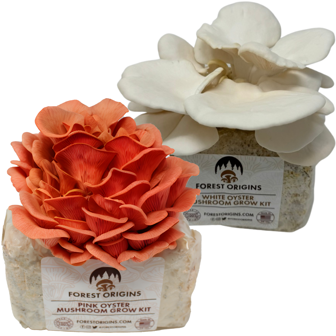 Pink & White Oyster Mushroom Grow Kit (2-Pack)