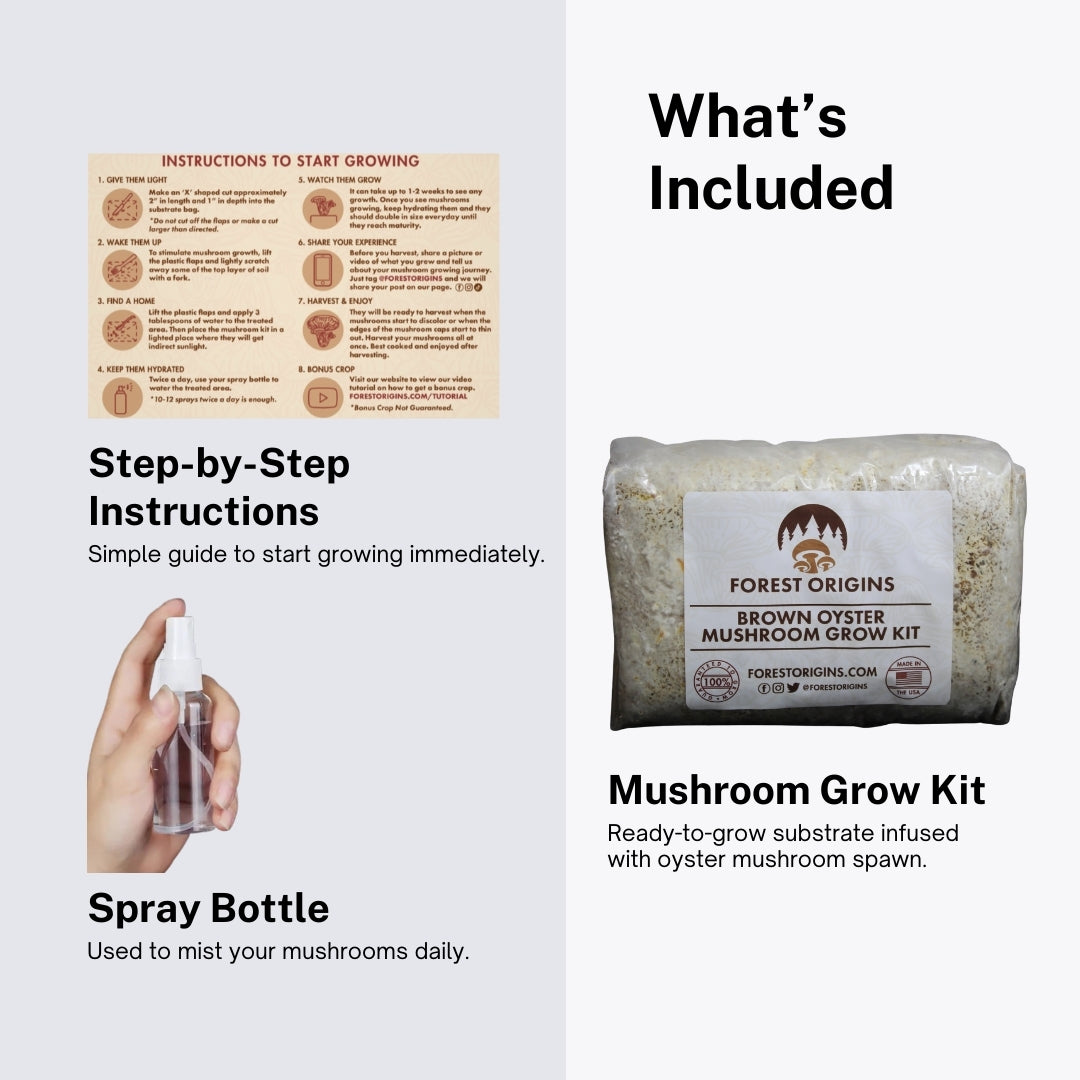 Brown Oyster Mushroom Grow Kit