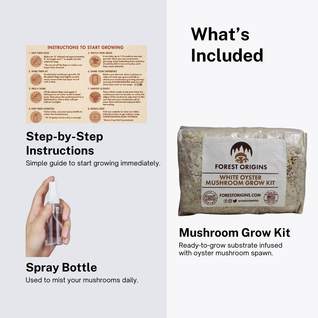 White Oyster Mushroom Grow Kit