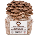 Forest Origins Brown Oyster Mushroom Grow Kit — Main product