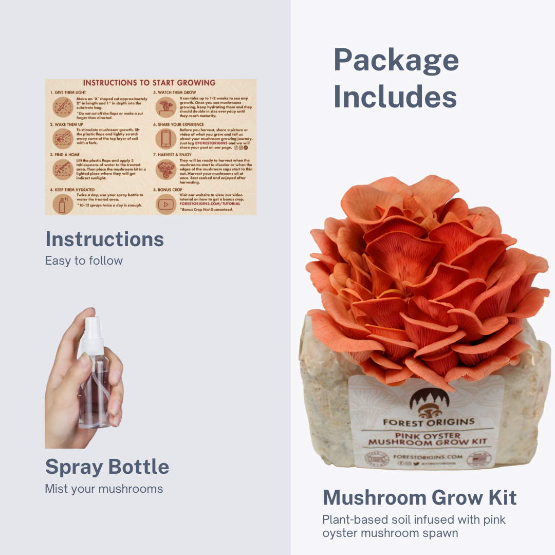 PINK OYSTER MUSHROOM GROW KIT