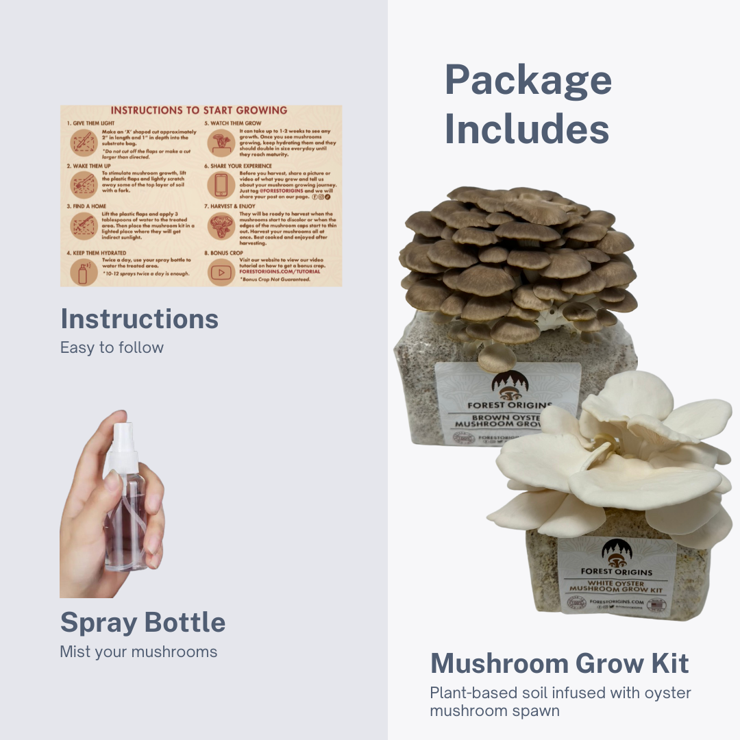 BROWN OYSTER AND WHITE OYSTER MUSHROOM GROW KIT (2-PACK)