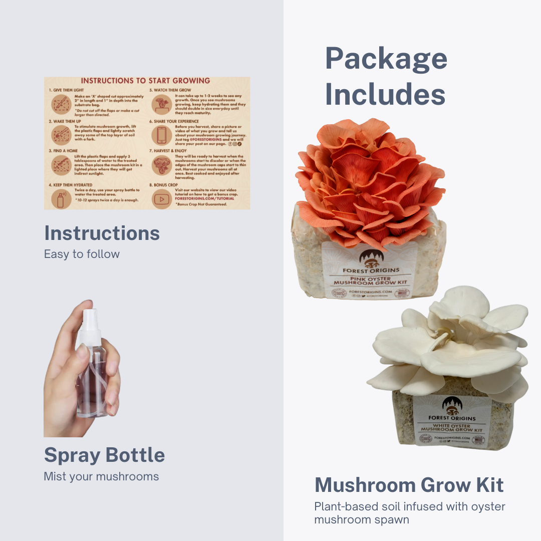 PINK OYSTER AND WHITE OYSTER MUSHROOM GROW KIT (2-PACK)