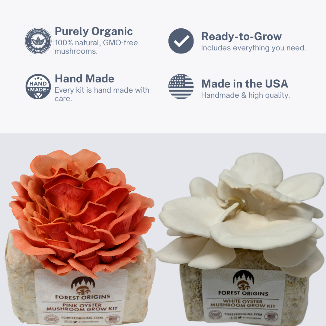 PINK OYSTER AND WHITE OYSTER MUSHROOM GROW KIT (2-PACK)