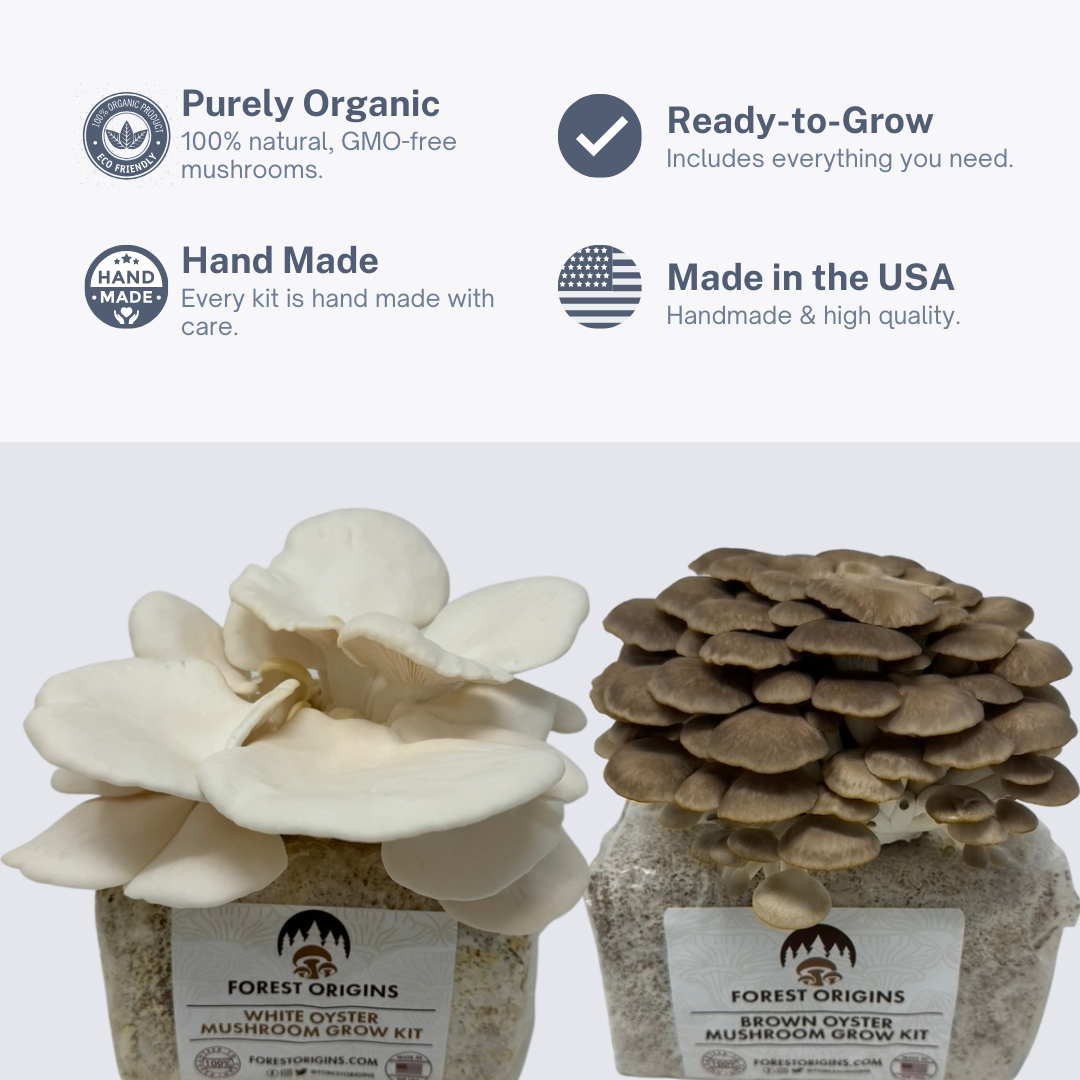BROWN OYSTER AND WHITE OYSTER MUSHROOM GROW KIT (2-PACK)