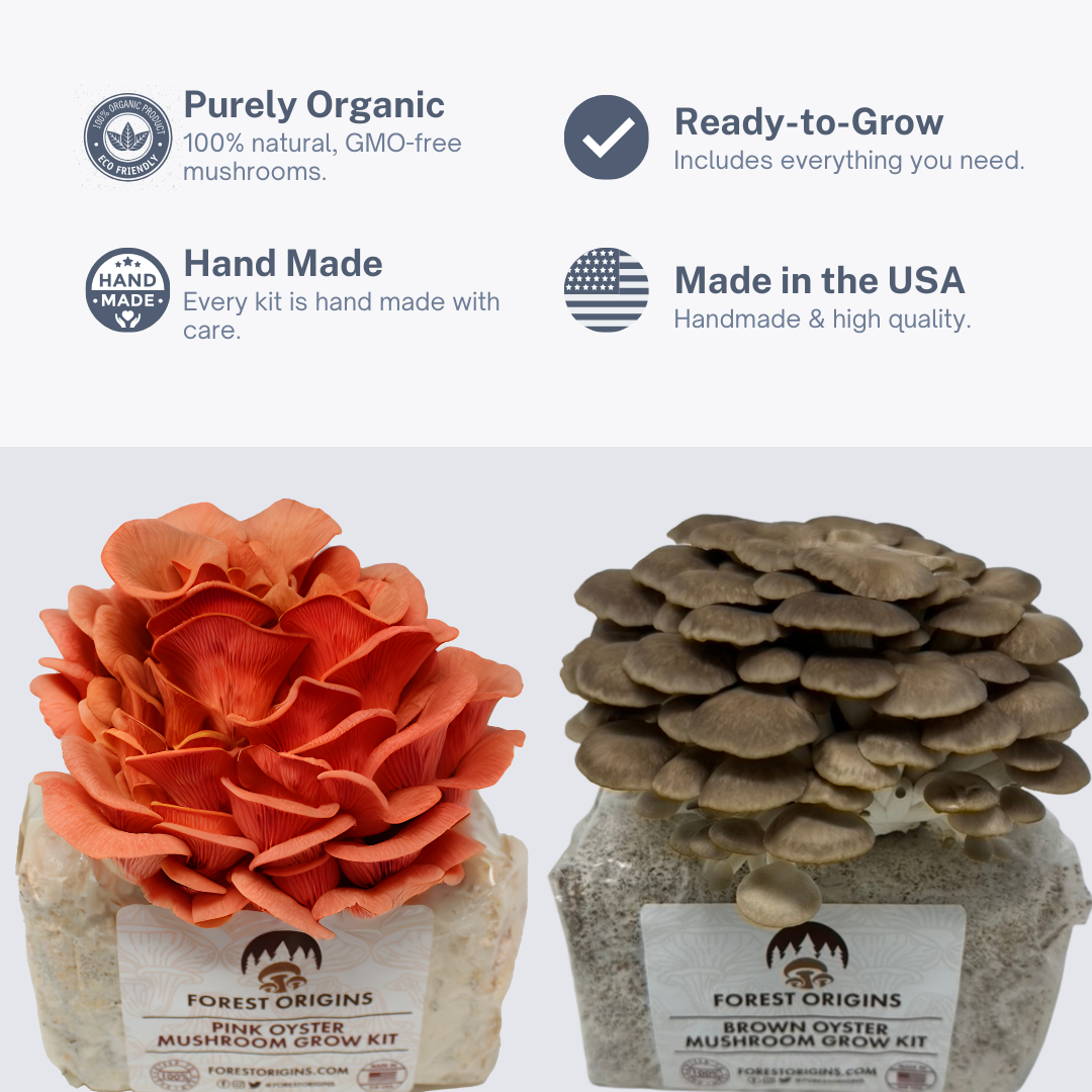 PINK OYSTER AND BROWN OYSTER MUSHROOM GROW KIT (2-PACK)