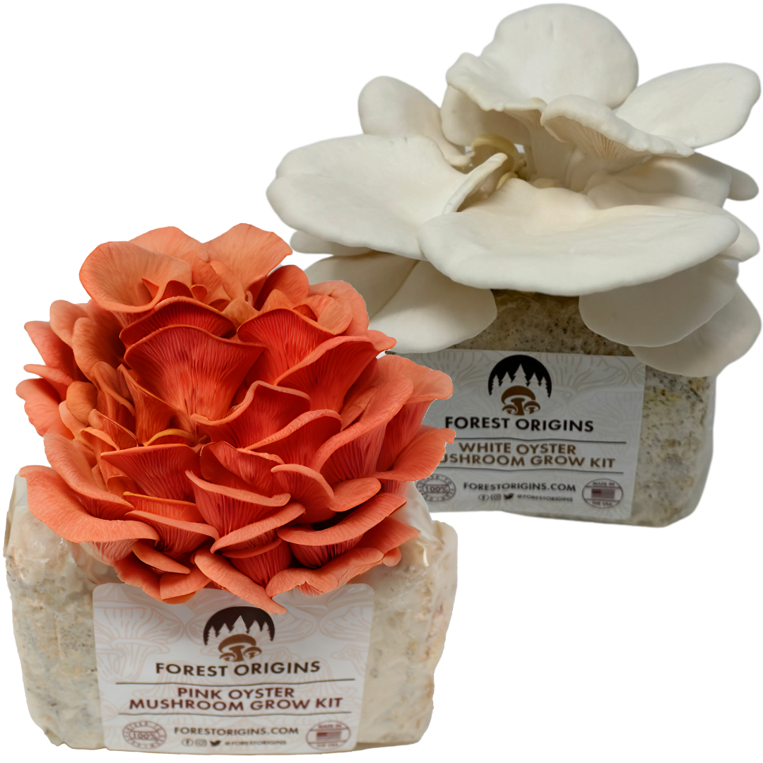 Pink & White Oyster Mushroom Grow Kit (2-Pack)