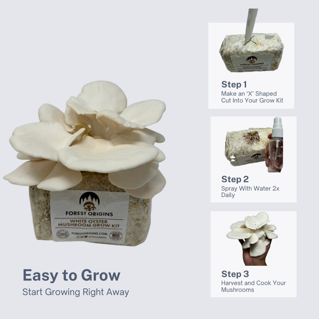 WHITE OYSTER MUSHROOM GROW KIT