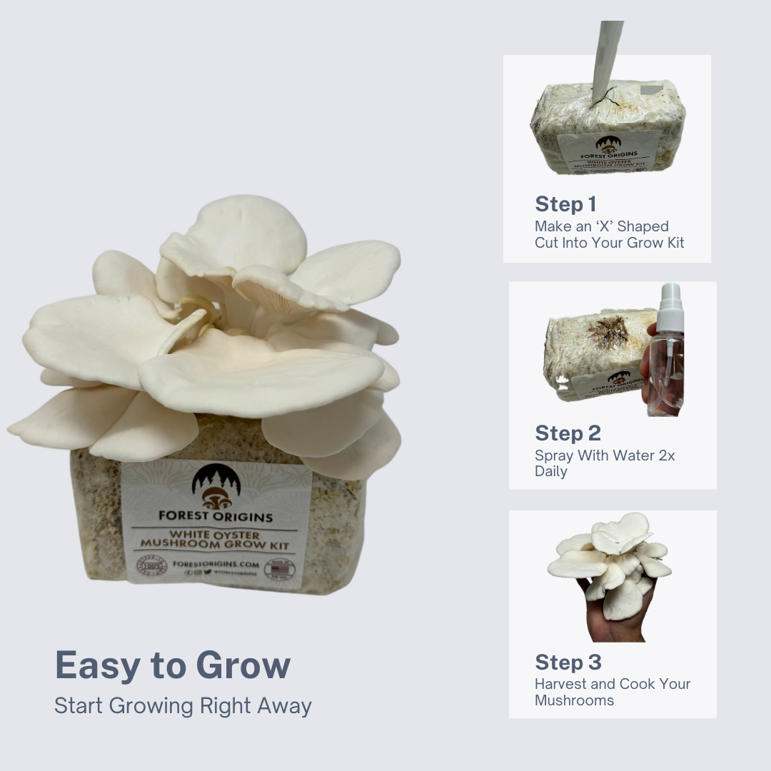 WHITE OYSTER MUSHROOM GROW KIT