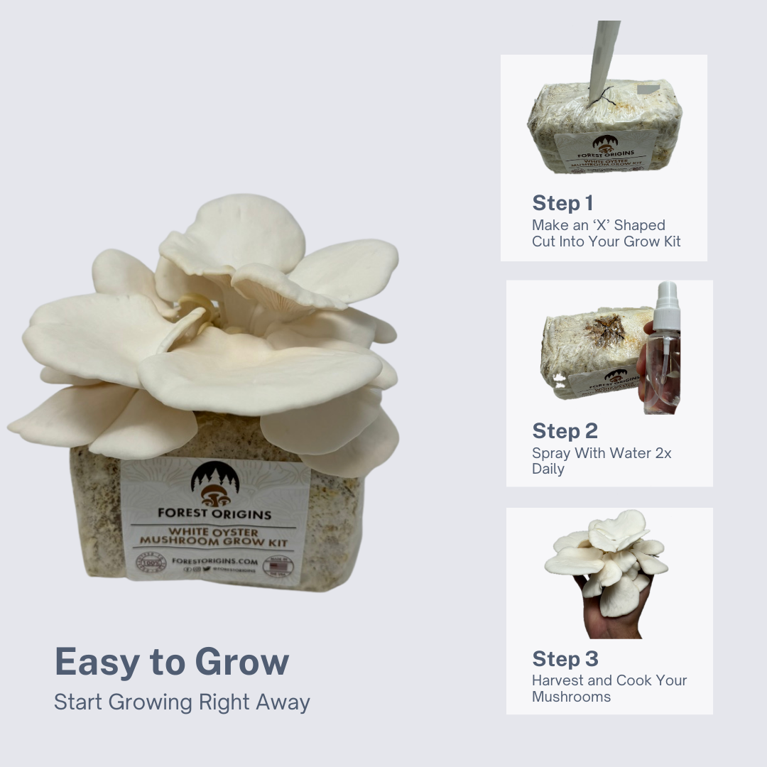 White Button Mushroom Grow Kits – River Valley Ranch & Kitchens