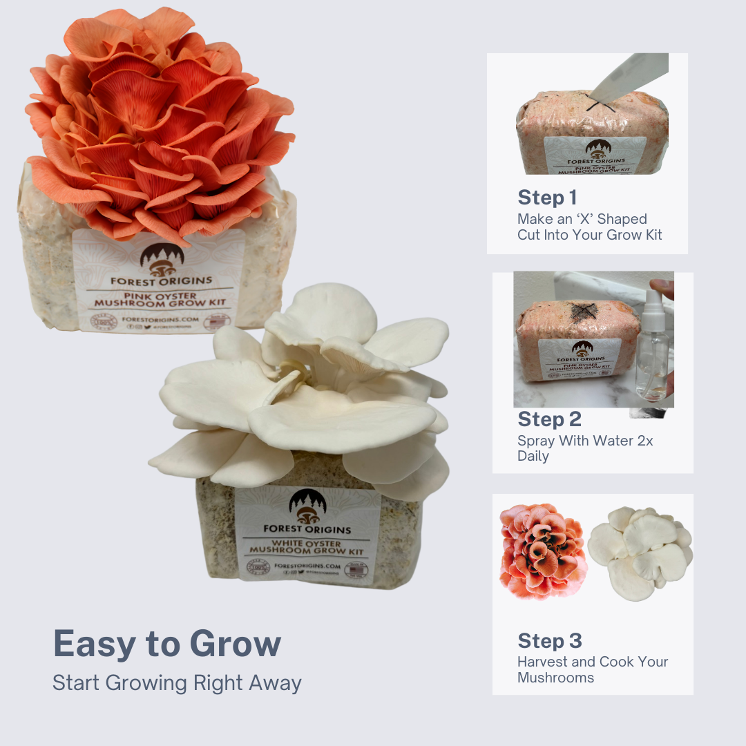 PINK OYSTER AND WHITE OYSTER MUSHROOM GROW KIT (2-PACK)