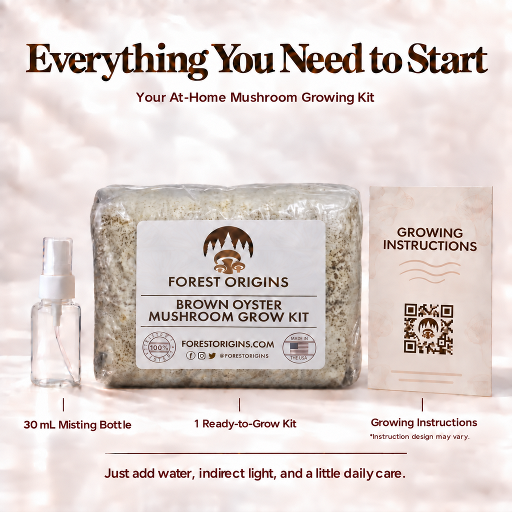Forest Origins Brown Oyster Mushroom Grow Kit, Indoor Gardening — Kit contents