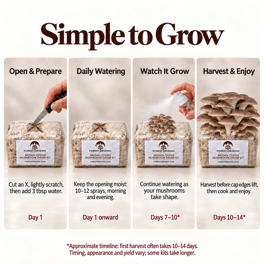 Forest Origins Brown Oyster Mushroom Grow Kit, Indoor Gardening — Simple growing steps