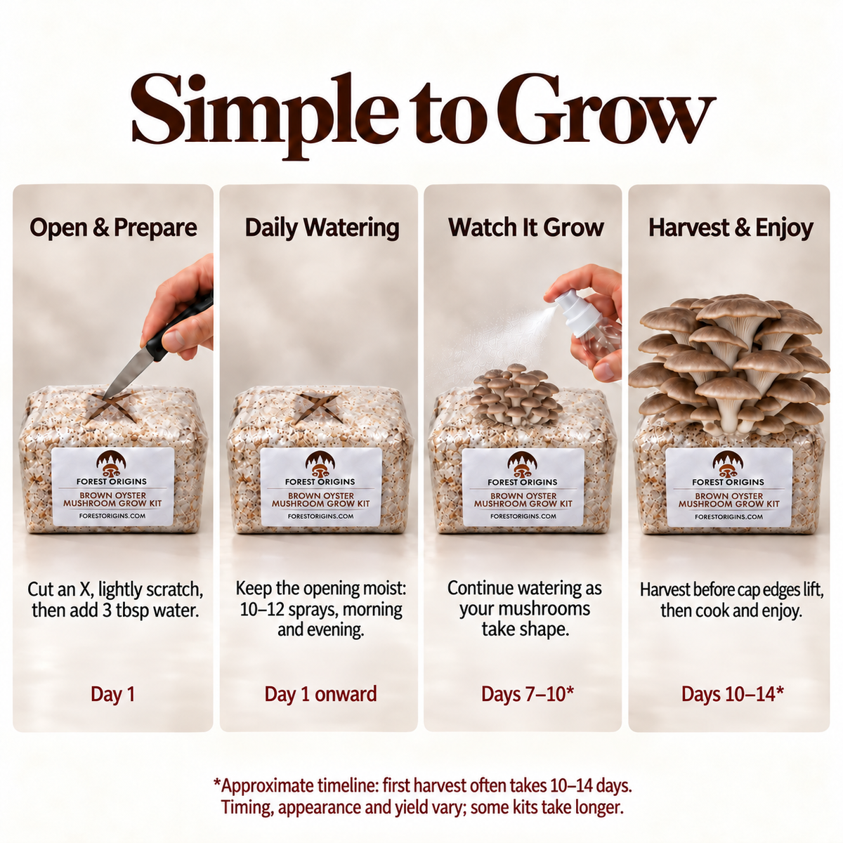 Forest Origins Brown Oyster Mushroom Grow Kit, Indoor Gardening — Simple growing steps