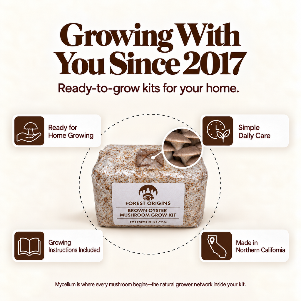 Forest Origins Brown Oyster Mushroom Grow Kit, Indoor Gardening — Brand story