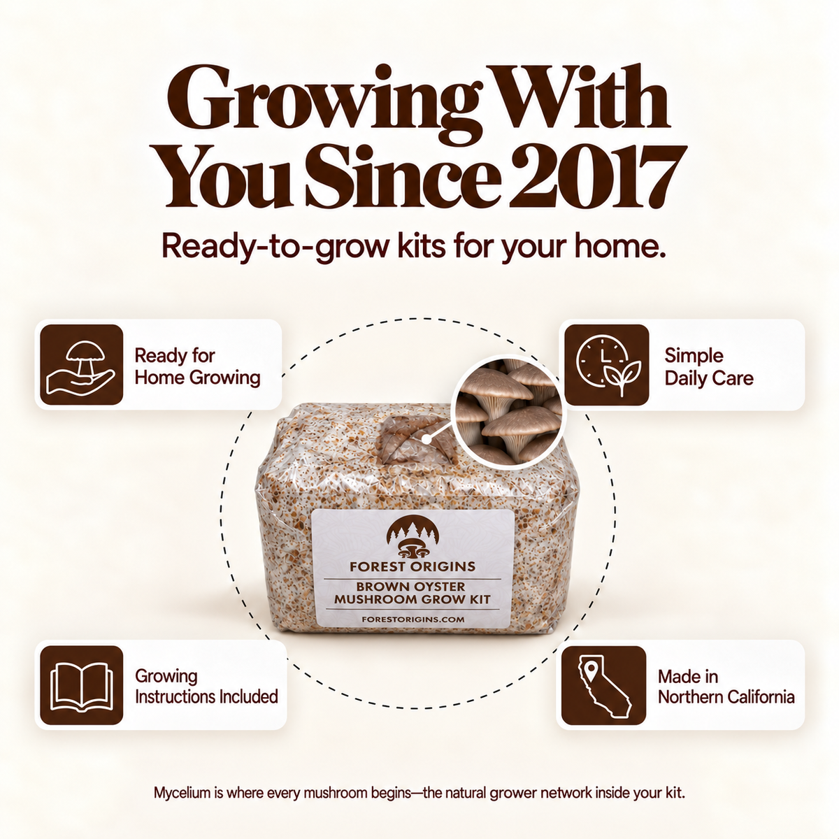 Forest Origins Brown Oyster Mushroom Grow Kit, Indoor Gardening — Brand story
