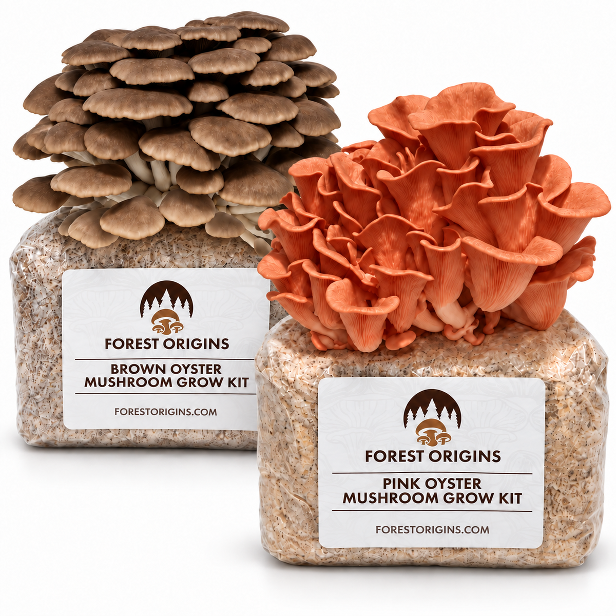 Forest Origins Pink & Brown Oyster Mushroom Grow Kits, Indoor 2-Pack — Main product