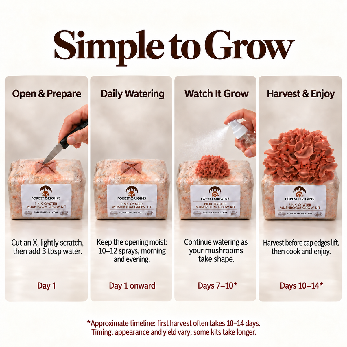 Forest Origins Pink & Brown Oyster Mushroom Grow Kits, Indoor 2-Pack — Simple growing steps