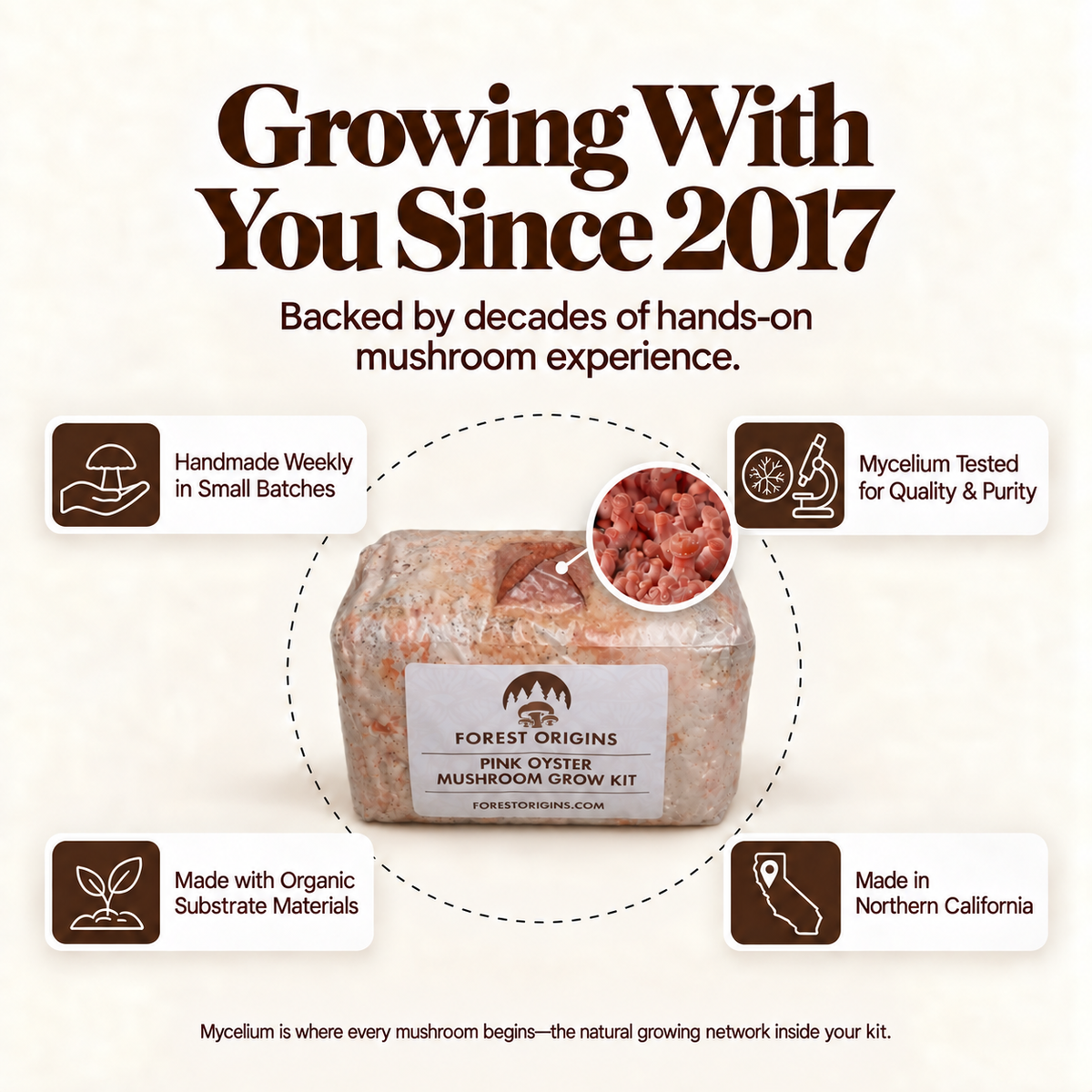 Forest Origins Pink, White & Brown Oyster Mushroom Grow Kits, Indoor 3-Pack — Brand story