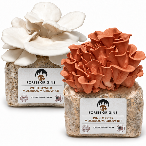Forest Origins Pink & White Oyster Mushroom Grow Kits, Indoor 2-Pack — Main product