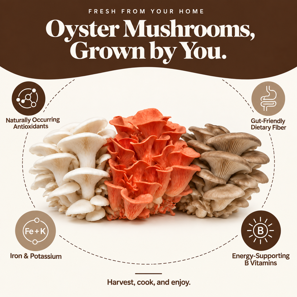 Forest Origins Pink, White & Brown Oyster Mushroom Grow Kits, Indoor 3-Pack — Growing experience