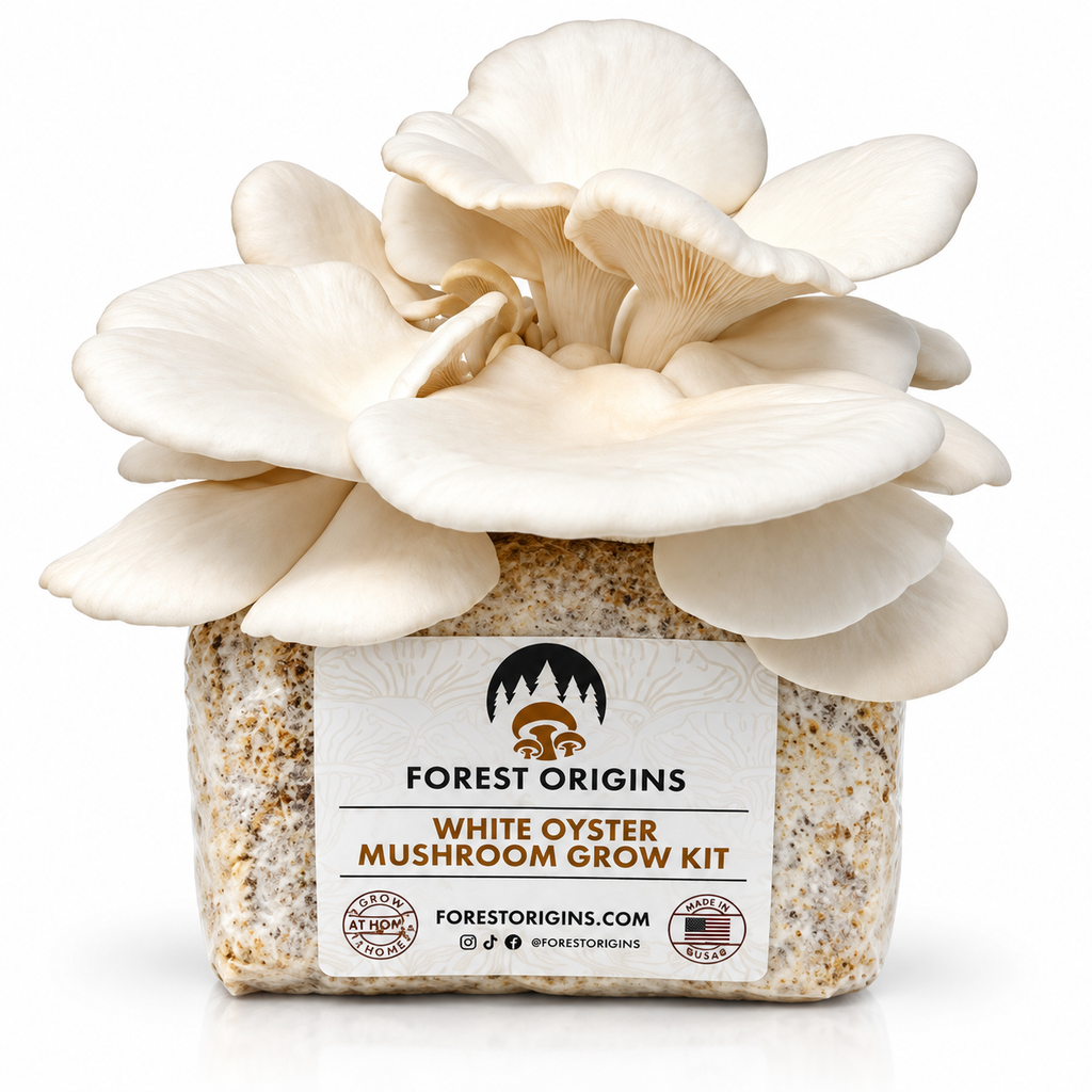 Forest Origins White Oyster Mushroom Grow Kit, Indoor Gardening — Main product