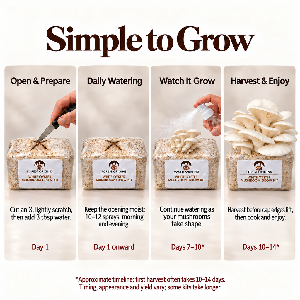 Forest Origins White Oyster Mushroom Grow Kit, Indoor Gardening — Simple growing steps