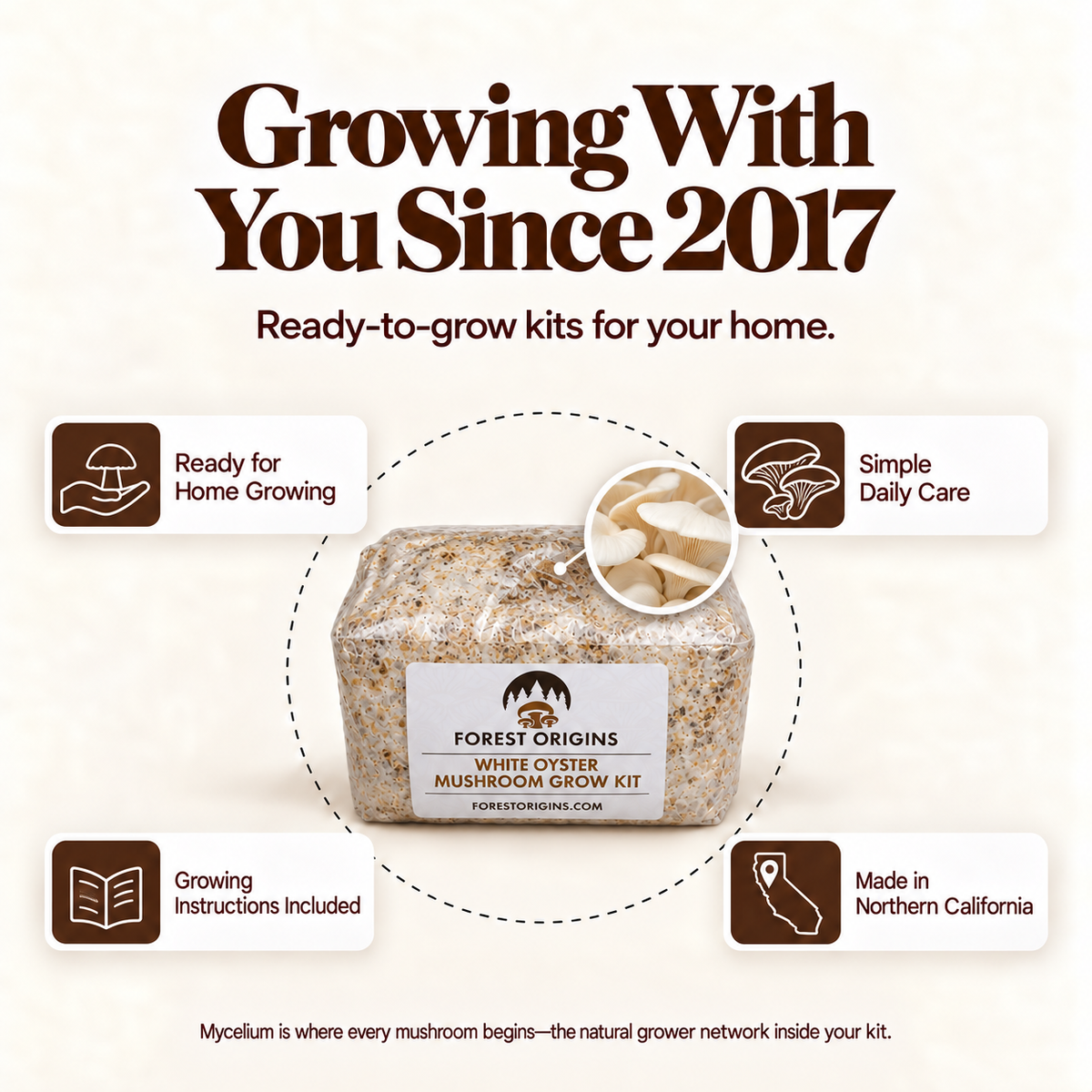 Forest Origins White Oyster Mushroom Grow Kit, Indoor Gardening — Brand story