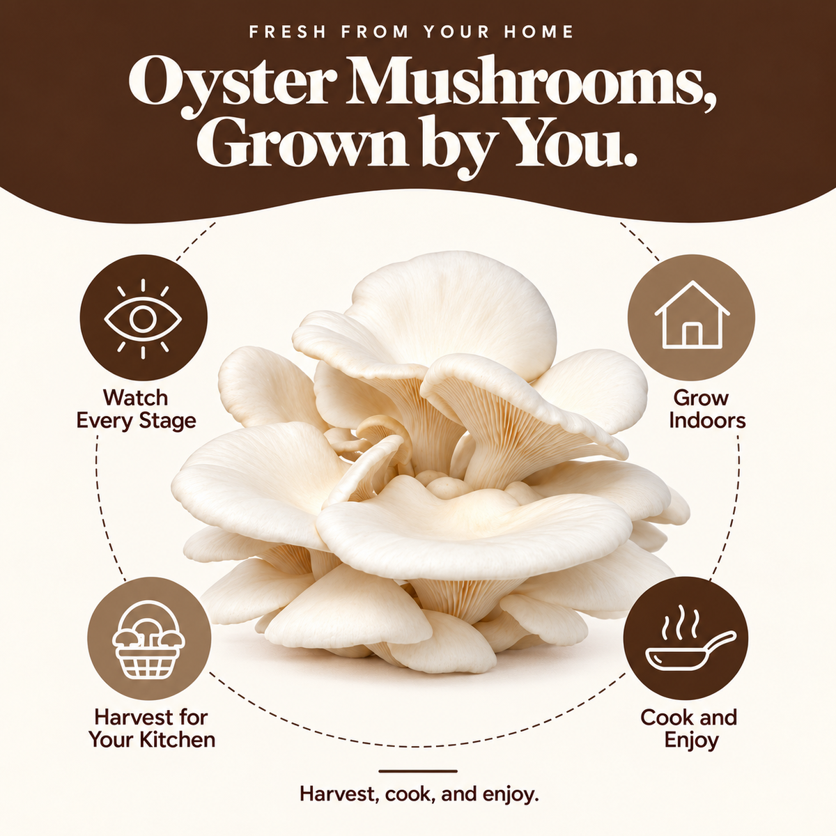 Forest Origins White Oyster Mushroom Grow Kit, Indoor Gardening — Growing experience