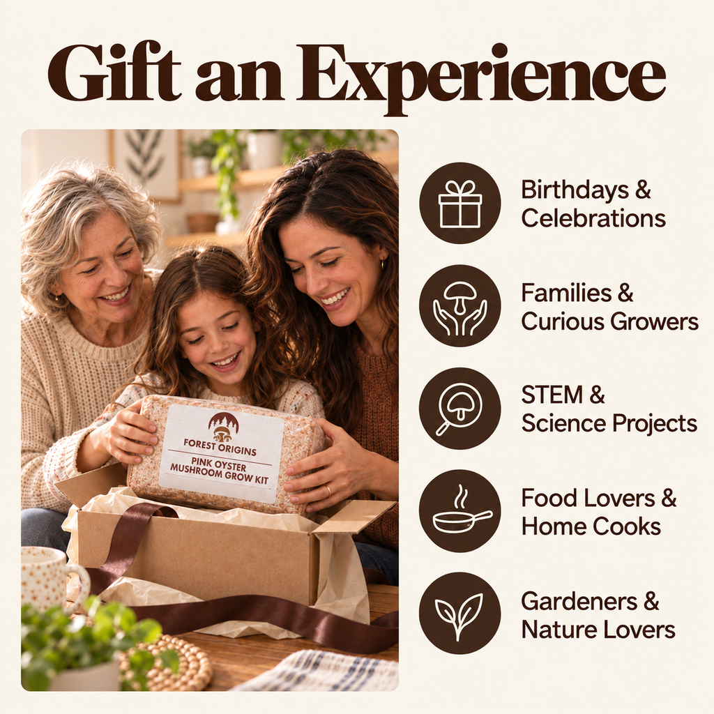 Pink oyster mushroom kit as a hands-on gardening gift