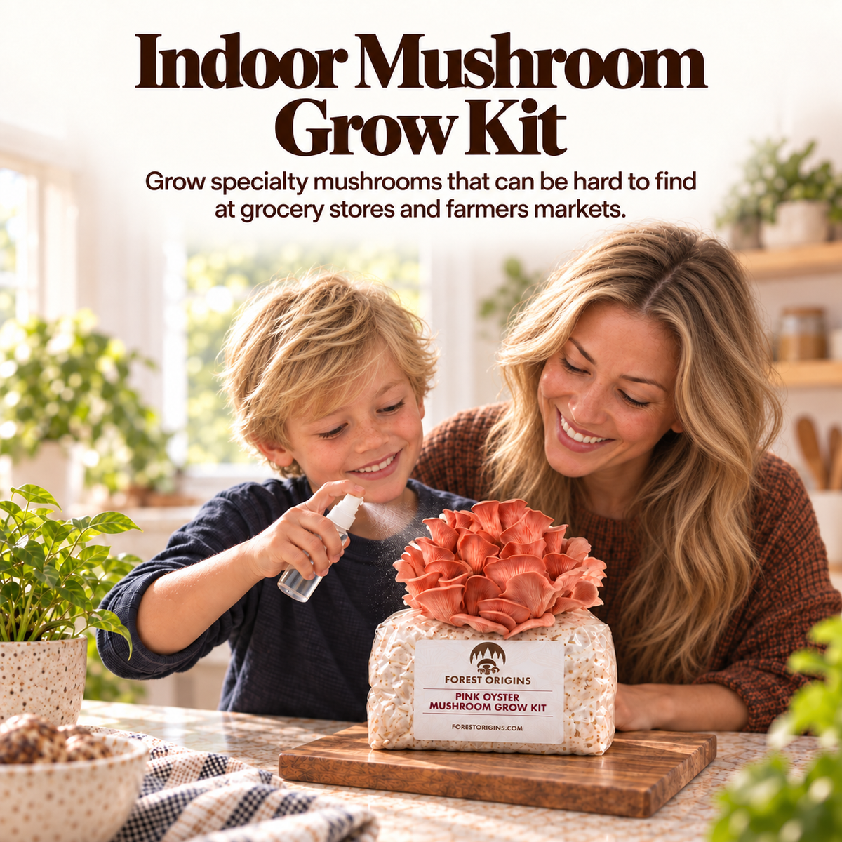 Family misting a pink oyster mushroom grow kit indoors