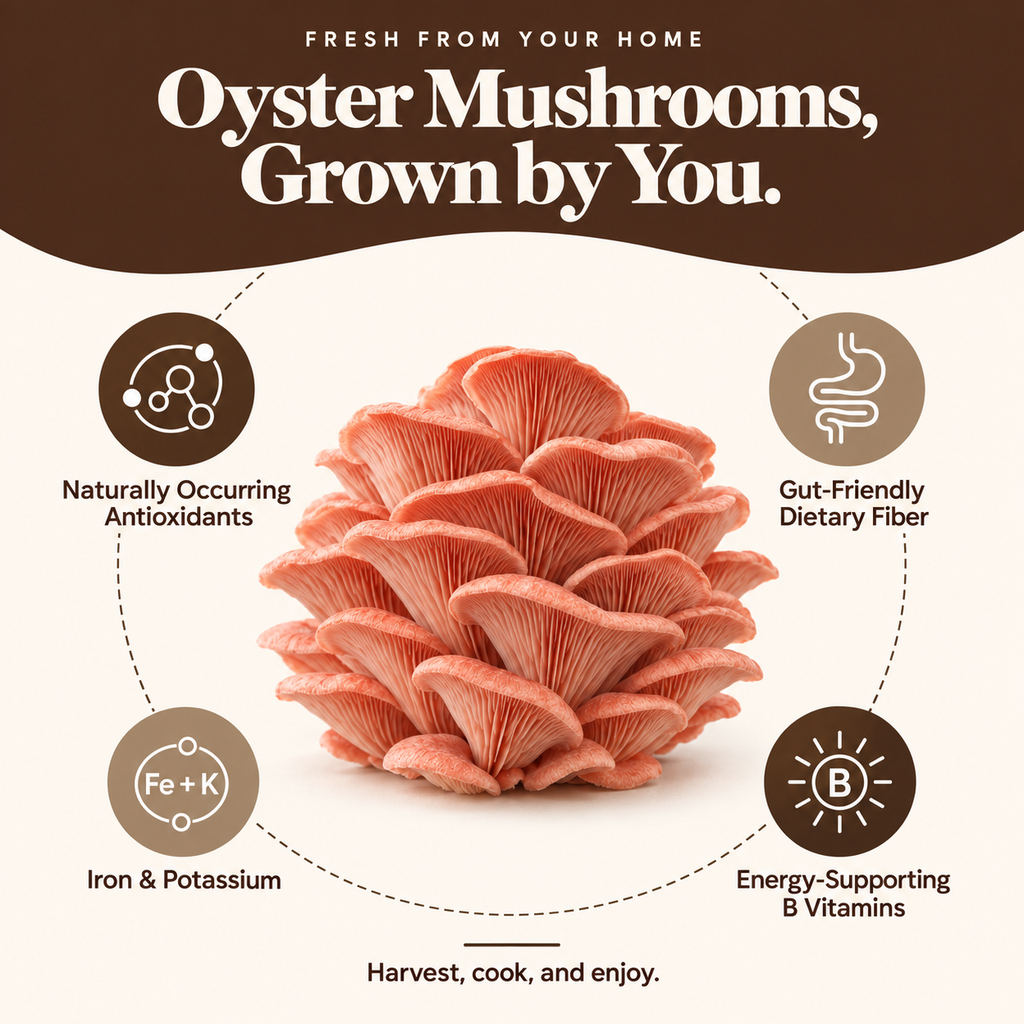 Pink oyster mushroom cluster with nutritional information
