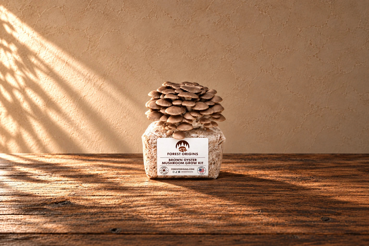 Brown Oyster Mushroom Grow Kit