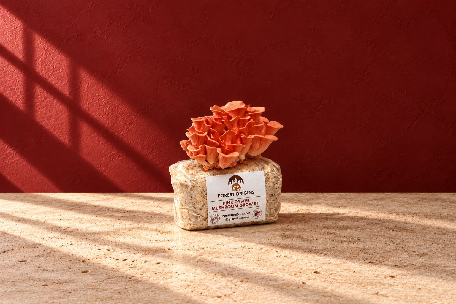 Pink Oyster Mushroom Grow Kit