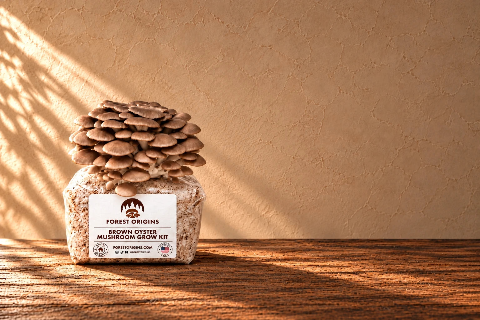 Brown Oyster Mushroom Grow Kit